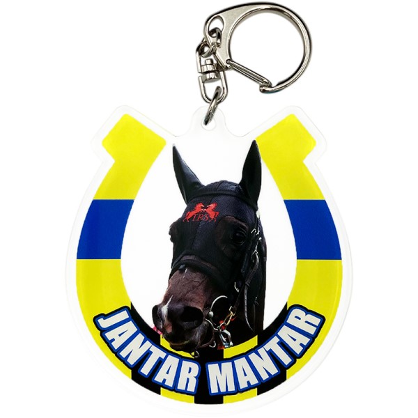 名馬烈伝 アクリルキーホルダー /(14)ジャンタルマンタル